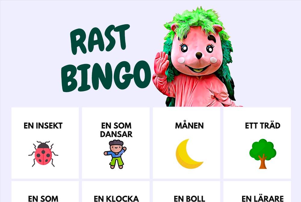 En bild på rastbingon