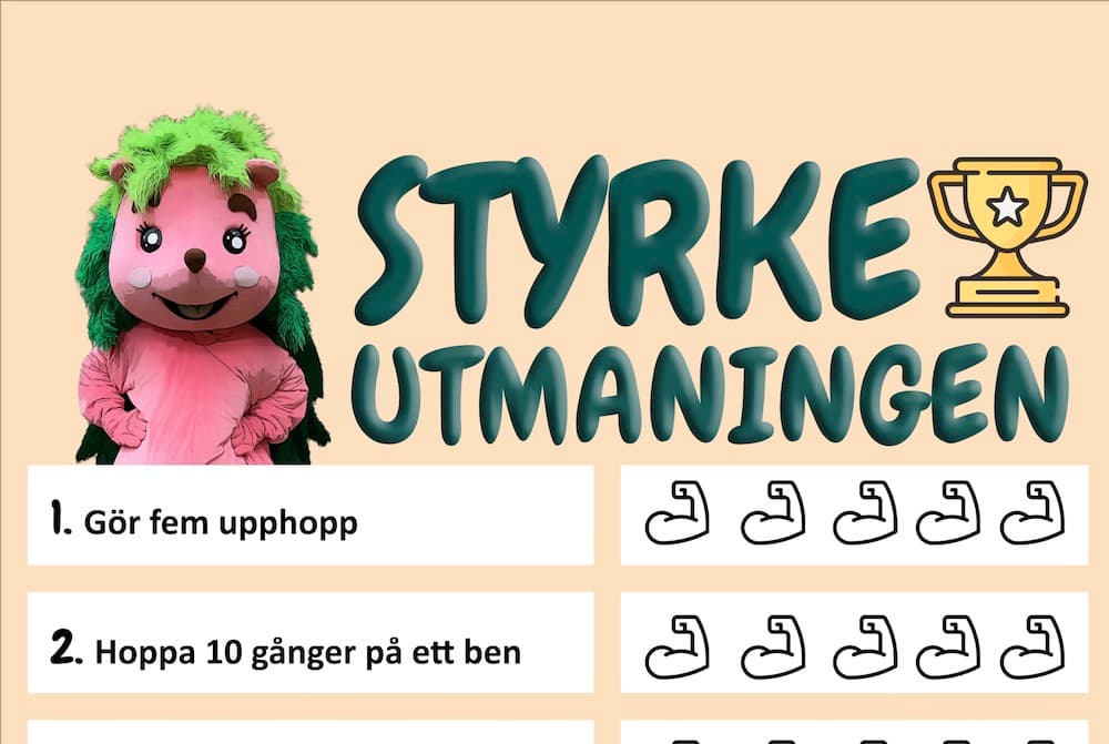 En bild på utmaningsgkorten